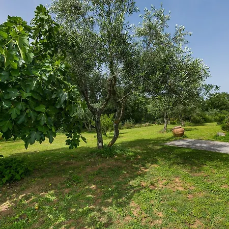 Rosmarino By Interhome Apartment Sorano (Grosseto)