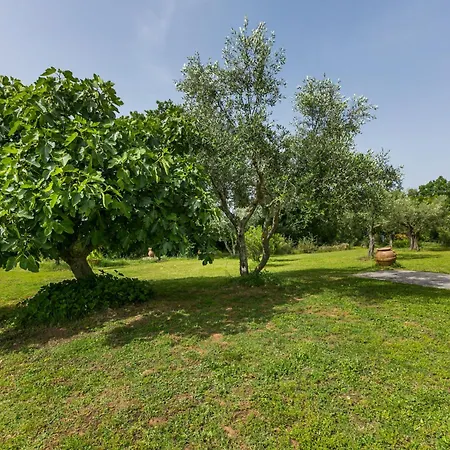 Rosmarino By Interhome
